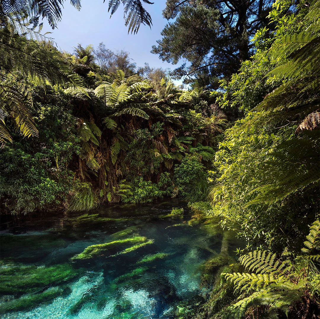 aotearoa nz clean river